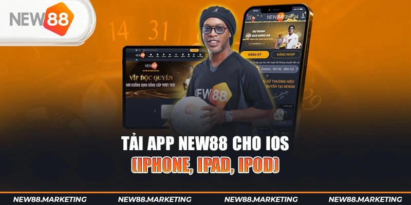 u8888 gà chọi cậu thanh