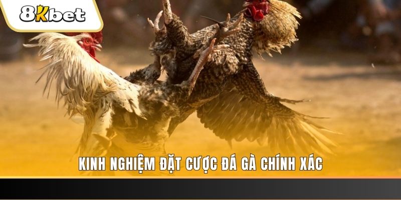 u8888 xổ số thứ bảy hàng tuần