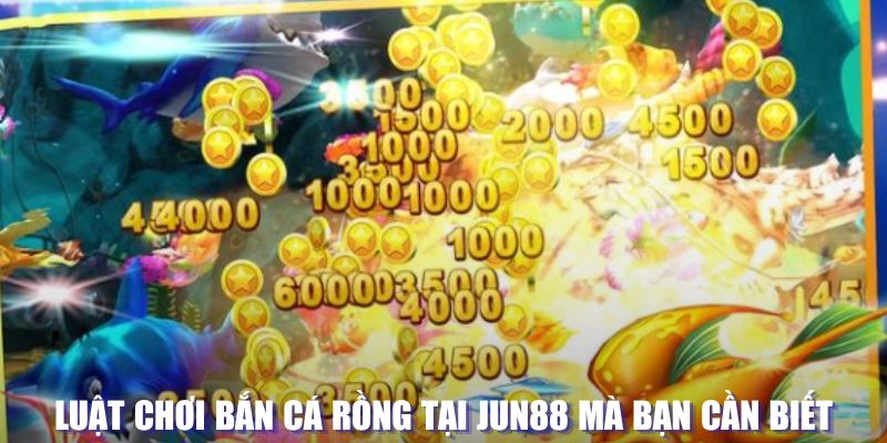 u8888 xổ số đài hà nội