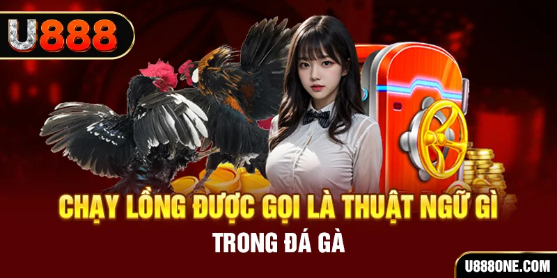 u8888 tai game vua bai ve may tinh