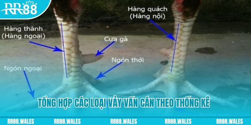 u8888 HB Điện Tử