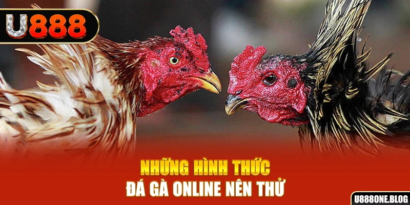 u8888 nổ hũ ai là gì
