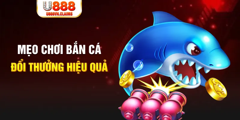 u8888 gà chọi cam ranh