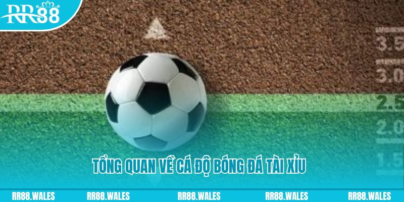 u8888 đăng nhập roulette online
