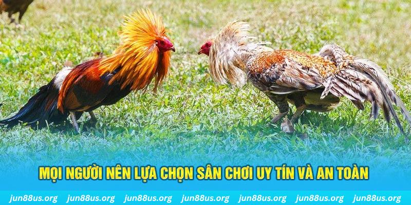 u8888 Cỡ bảy