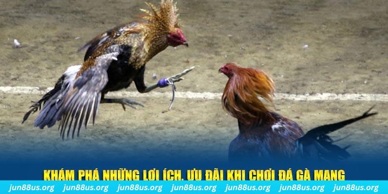 u8888 đăng nhập liêng live