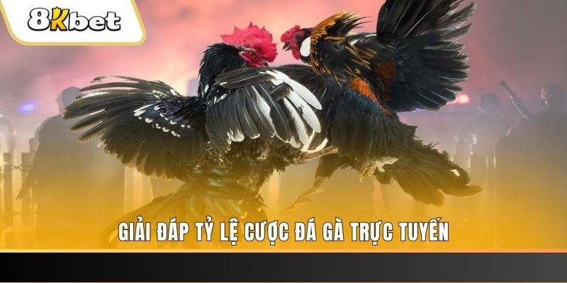 u8888 ban ca online