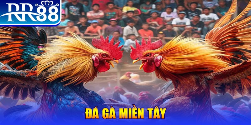 u8888 người chia bài trong casino gọi là gì