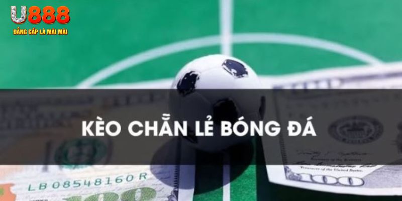 u8888 gà chọi c1.tv