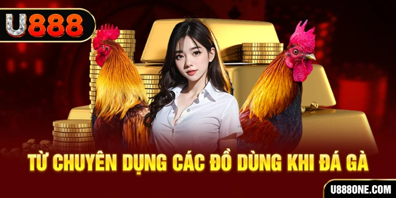 u8888 đá gà trực tiếp campuchia